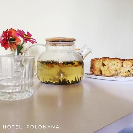 Pilipets Mini Hotel Polonyna מראה חיצוני תמונה