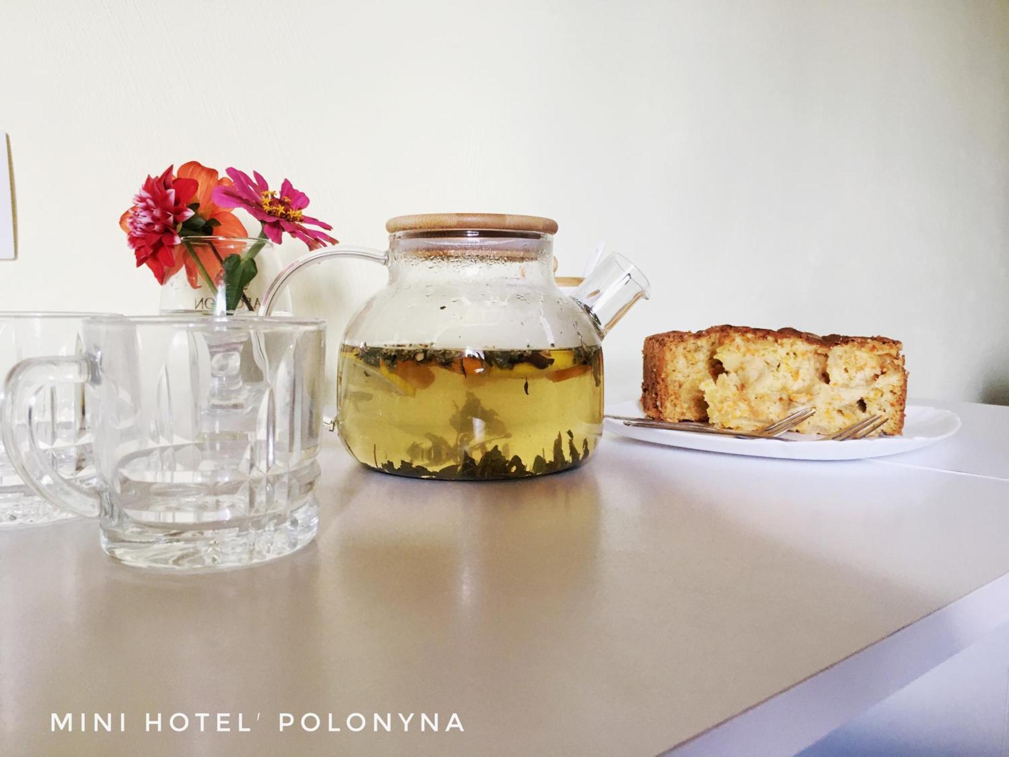 Pilipets Mini Hotel Polonyna מראה חיצוני תמונה